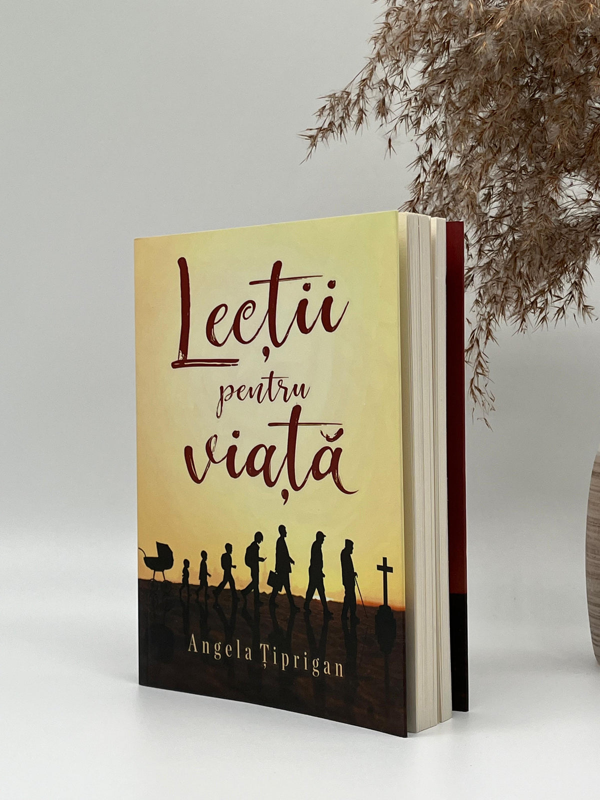 Lecții pentru viață - Angela Țiprigan