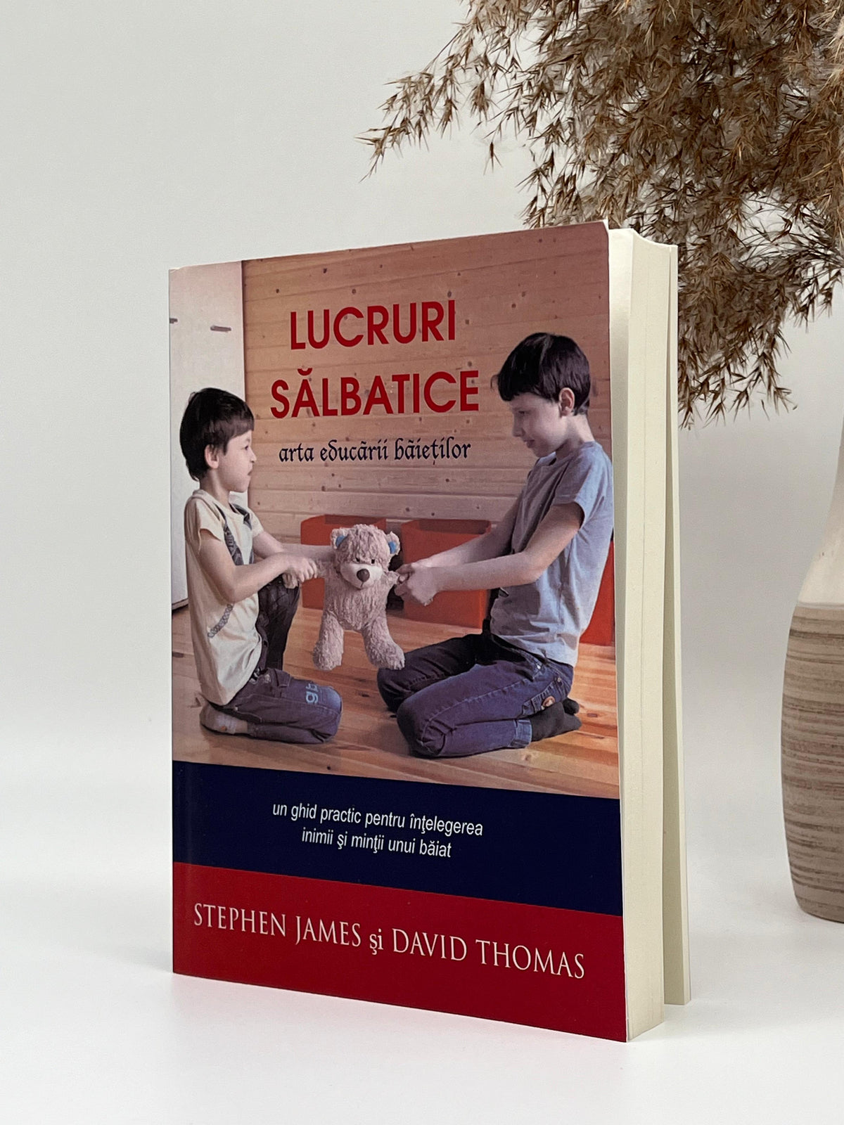Lucruri sălbatice - arta educării băieților -
Stephen James & David Thomas