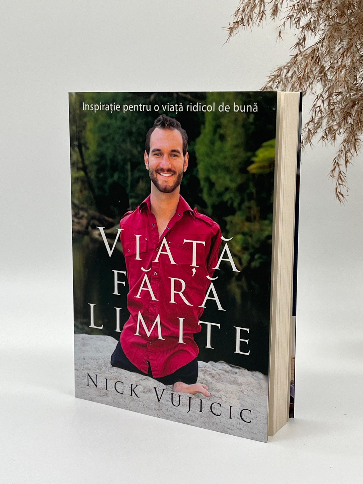 Viața fără limite -
Nick Vujicic