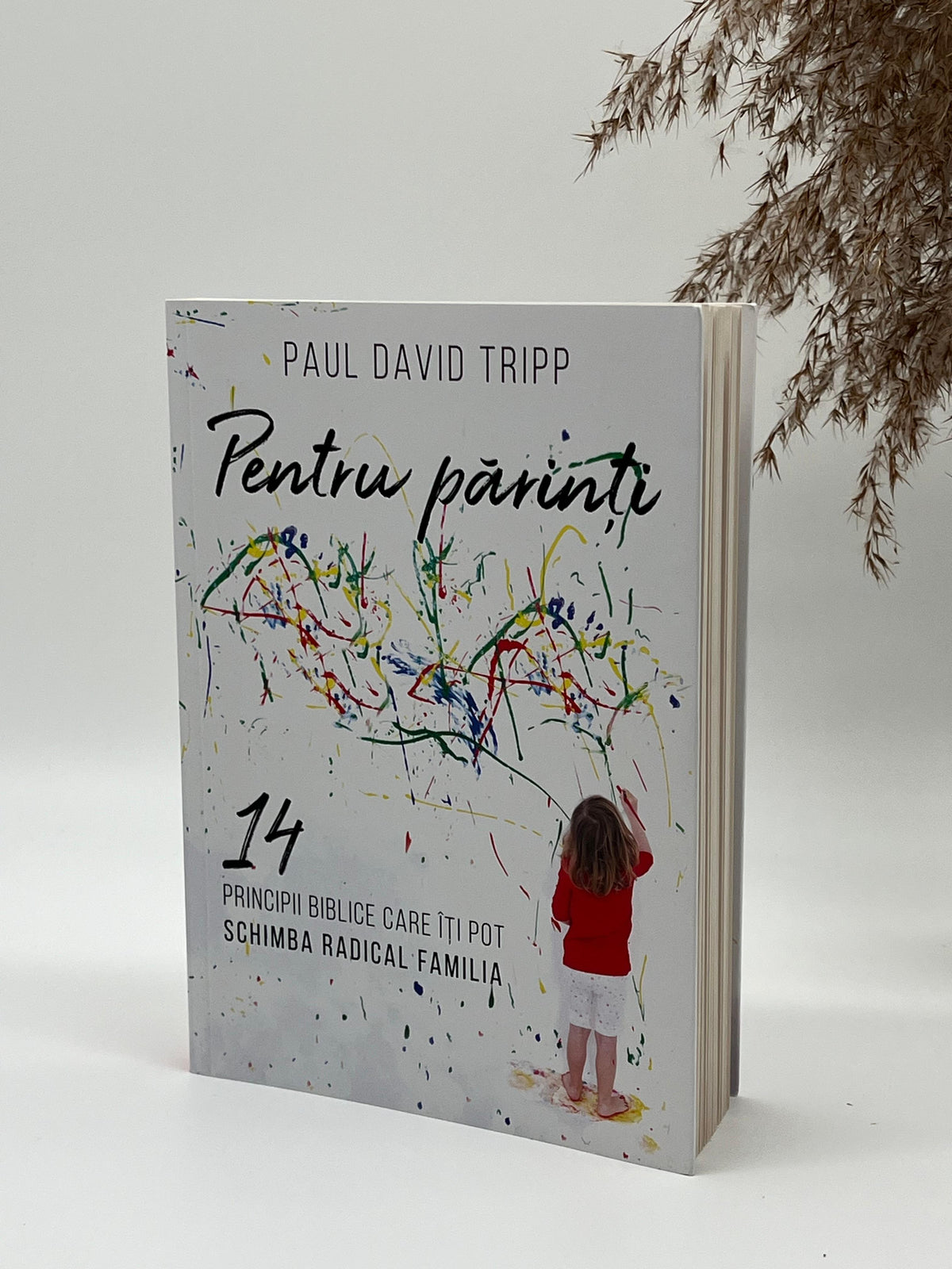 Pentru părinți -
Paul David Tripp