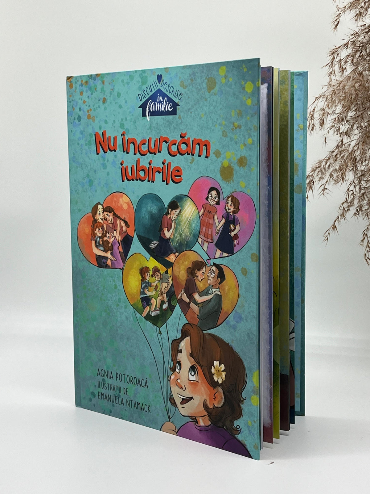 Nu încurcăm iubirile -
Agnia Potoroaca