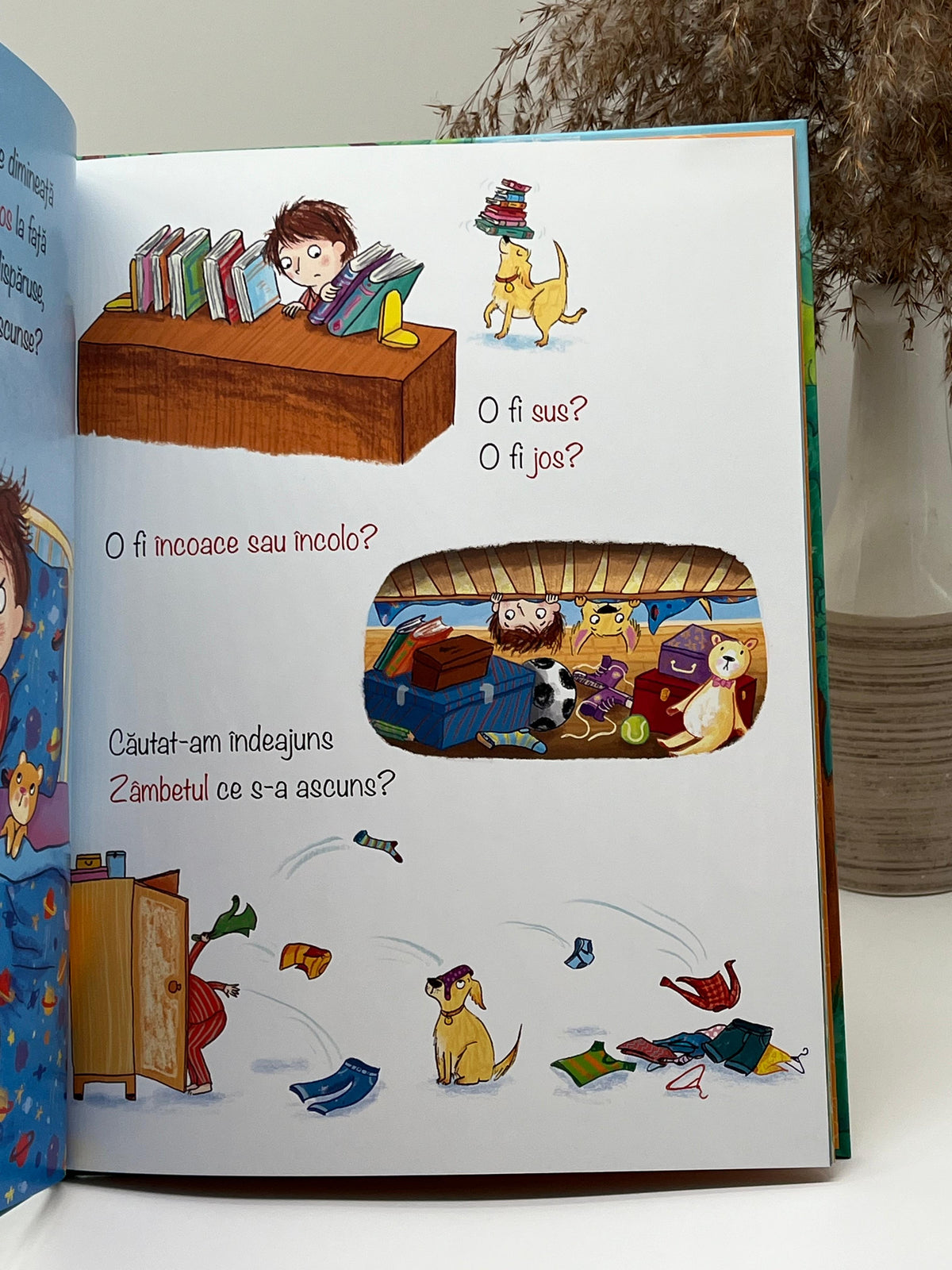 Unde mi-a dispărut zâmbetul? (Seria Aventuri pentru suflet) -
Max Lucado