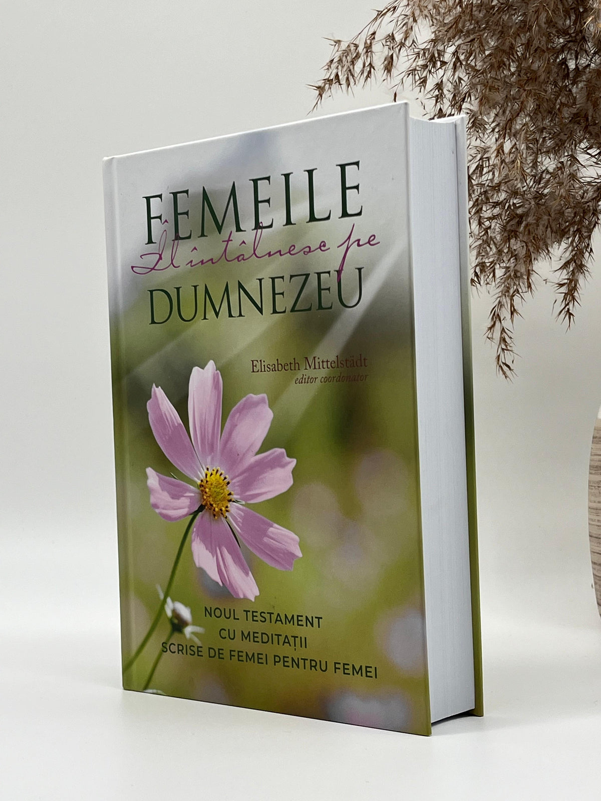 Femeile Îl intâlnesc pe Dumnezeu ed. 2 -
Elisabeth Mittelstadt