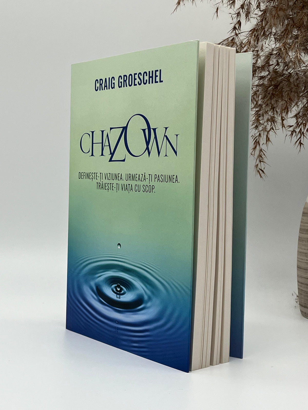 Chazown -
Craig Groeschel