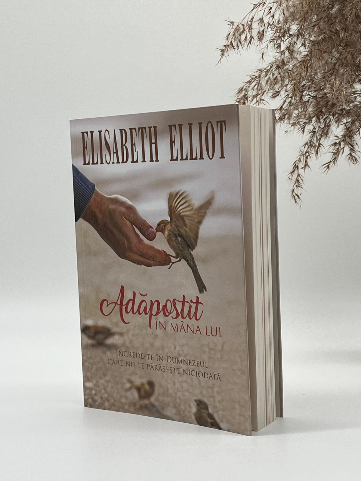 Adăpostit în mâna Lui -
Elisabeth Elliot