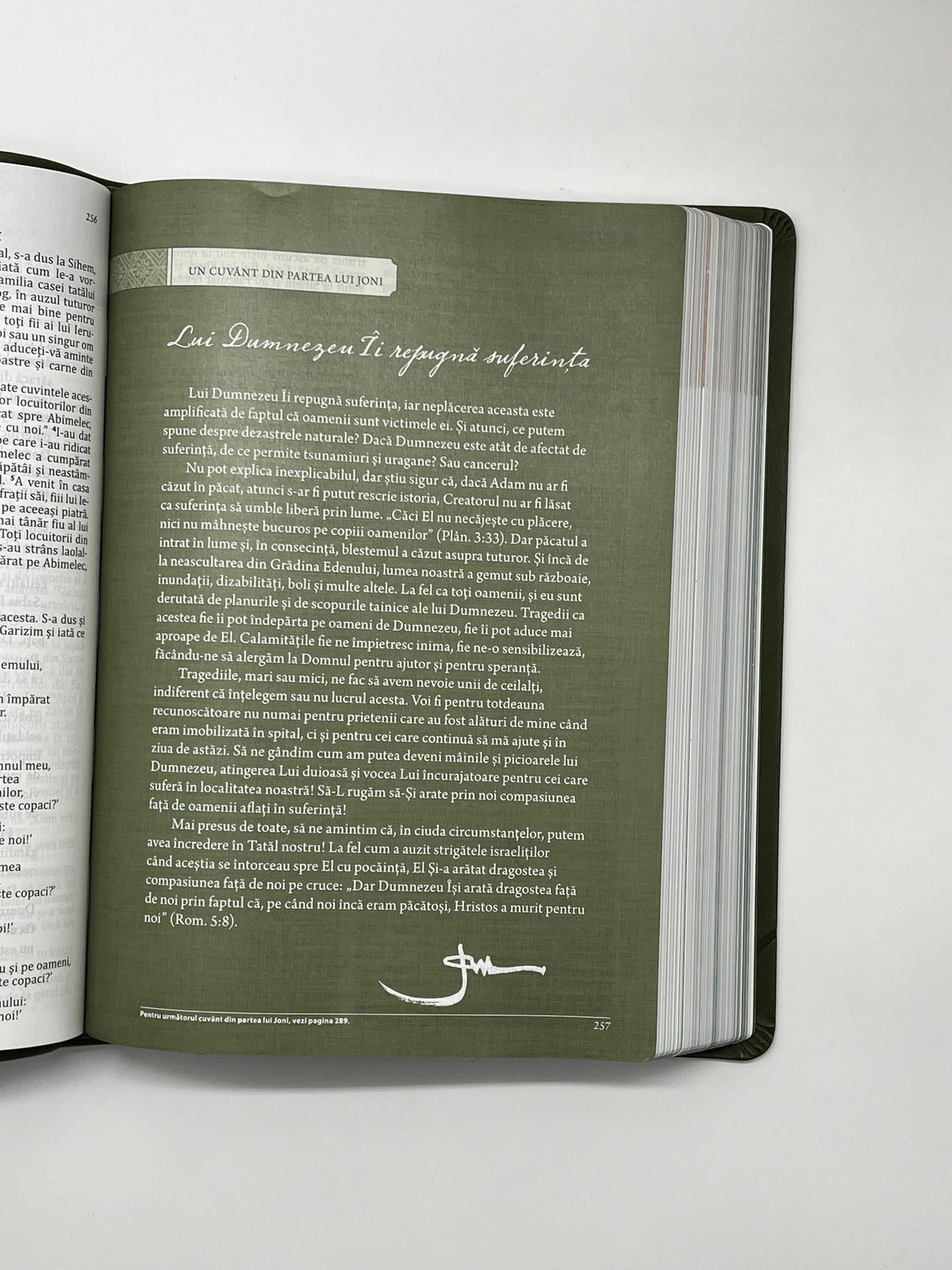 Biblia Speranță în suferință - Verde