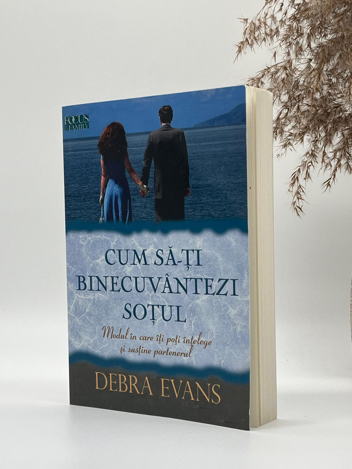 Cum să-ți binecuvântezi soțul -
Debra Evans