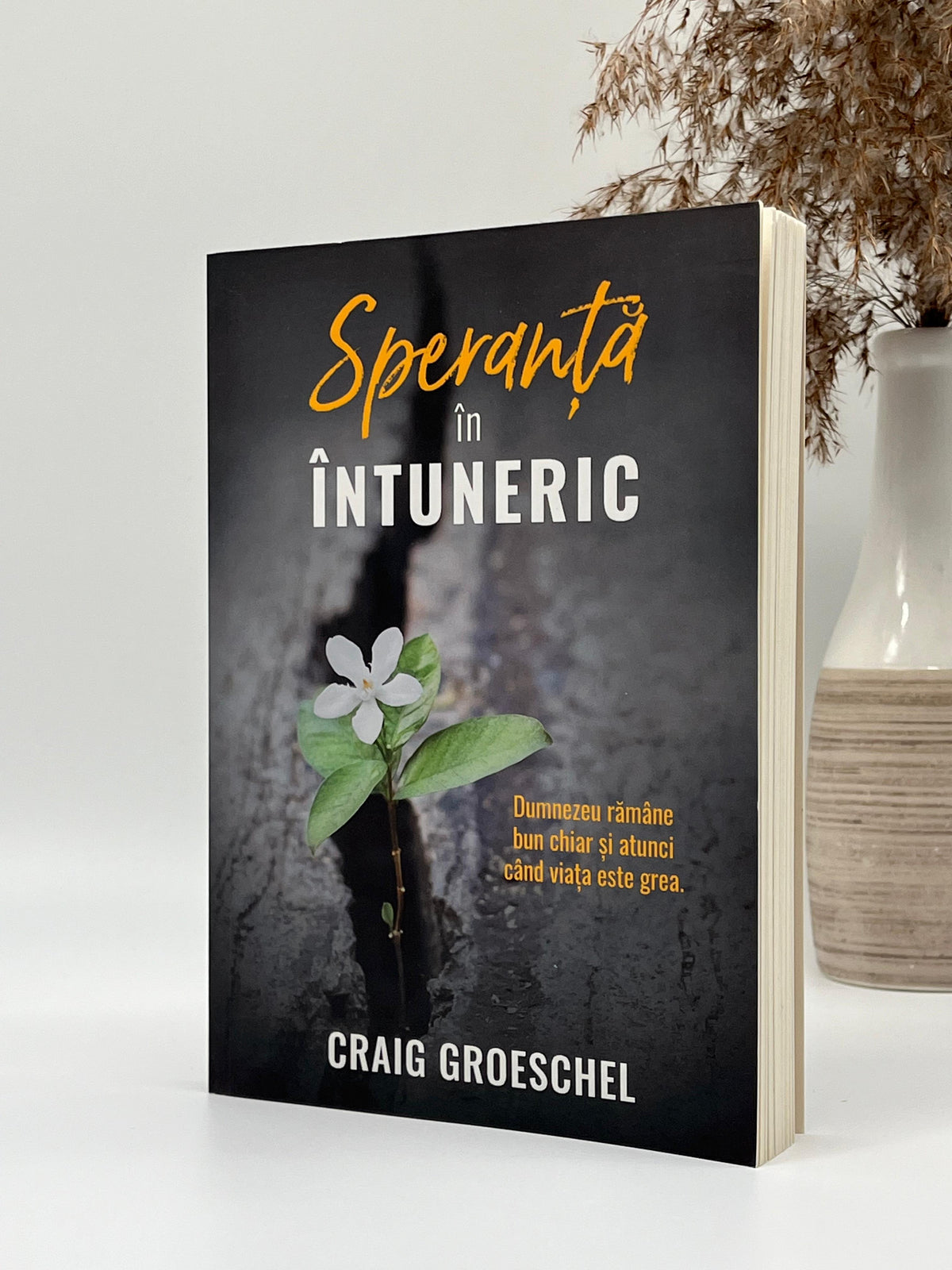 Speranța în întuneric -
Craig Groeschel