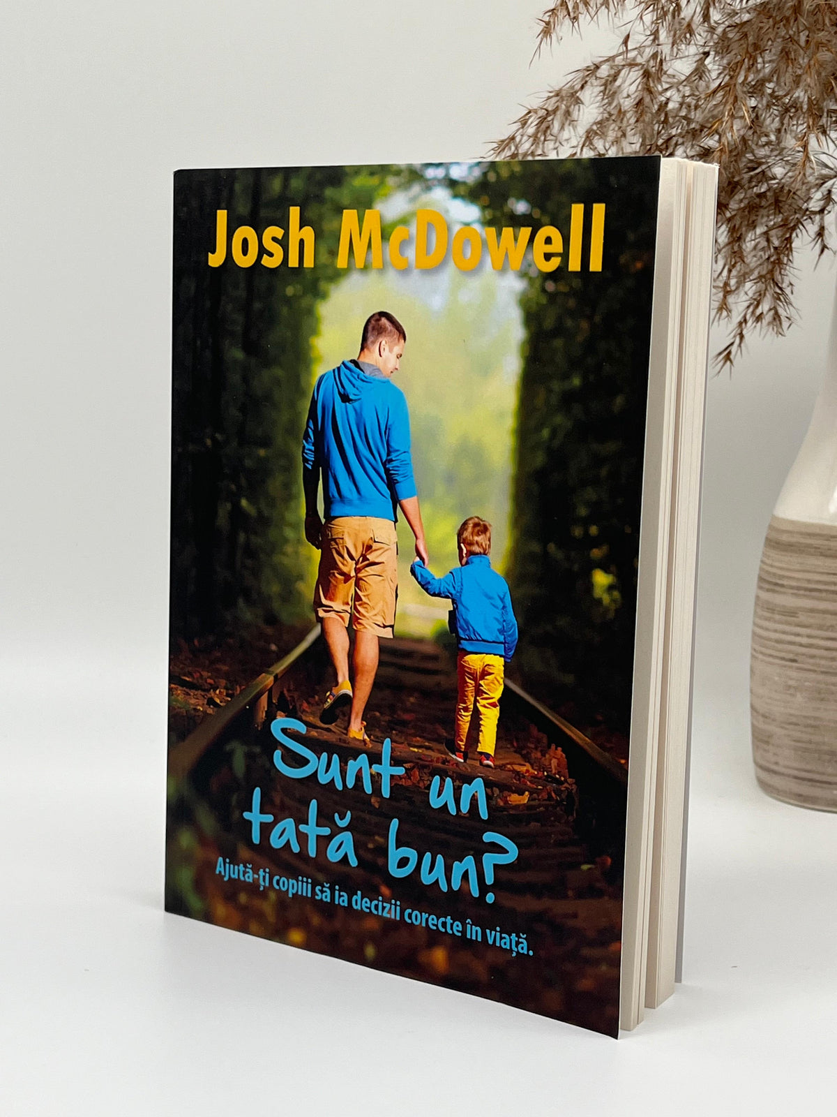 Sunt un tată bun? -
Josh McDowell