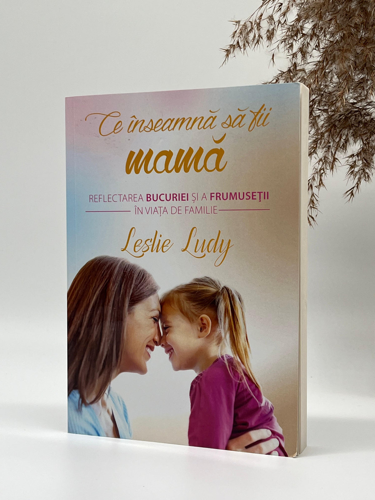 Ce inseamnă să fii mamă-
Leslie Ludy