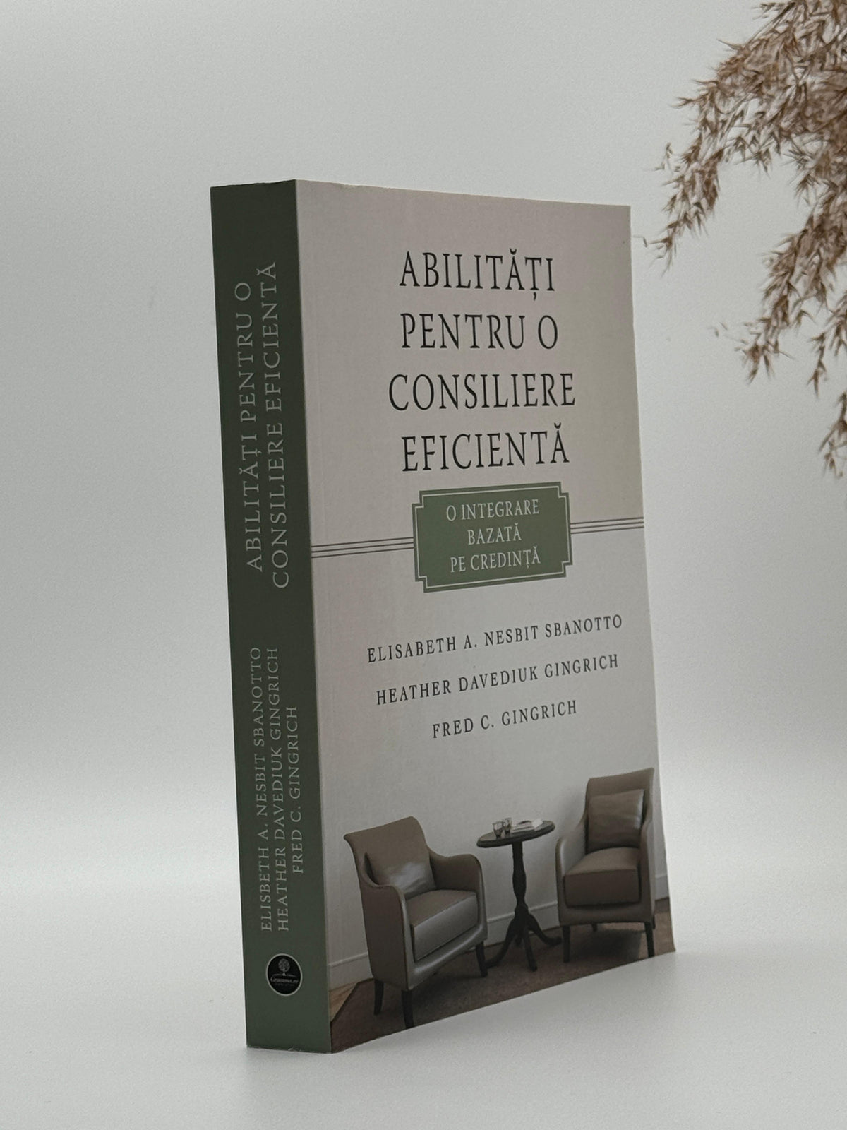 Abilități pentru o consiliere eficientă -
Elisabeth A. Nesbit Sbanotto, Heather Davediuk Gingrich, Fred Gingrich