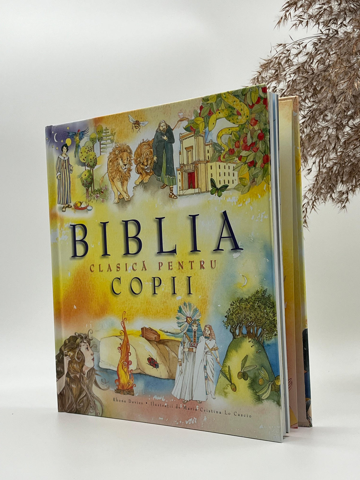 Biblia clasică pentru copii -
Rhona Davies & Maria Cristina Lo Cascio