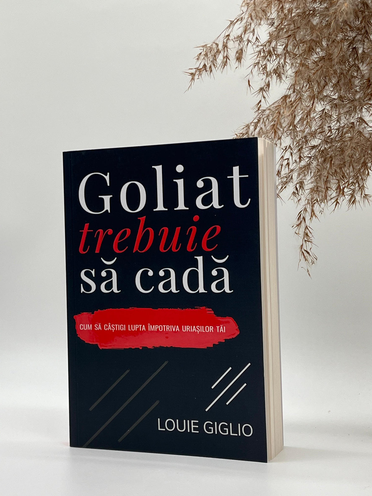Goliat trebuie să cadă. Cum să câștigi lupta împotriva uriașilor tăi - Louie Giglio