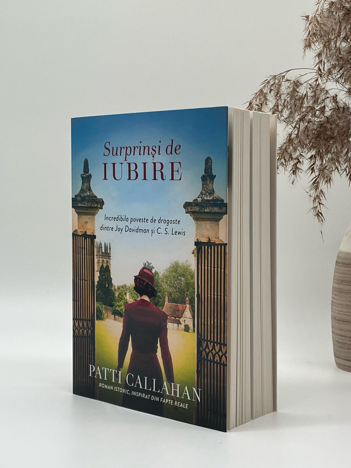 Surprinși de iubire - Patti Callahan