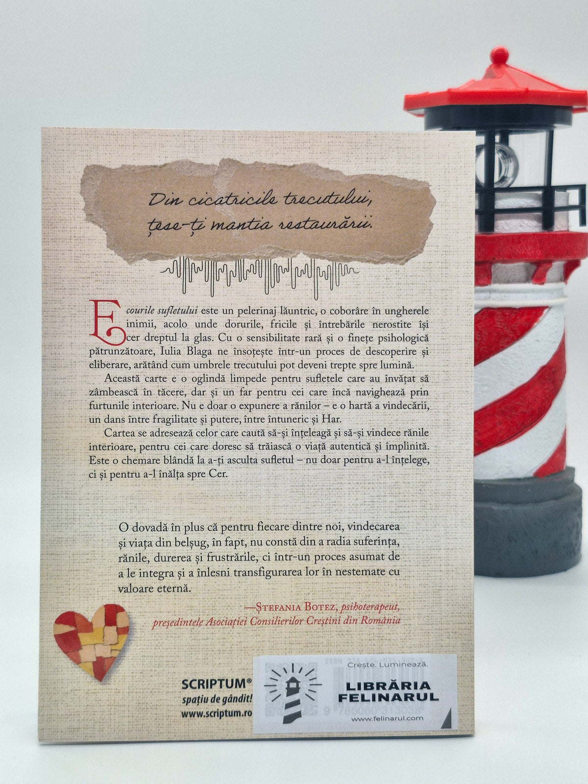 Ecourile sufletului - Iulia Blaga