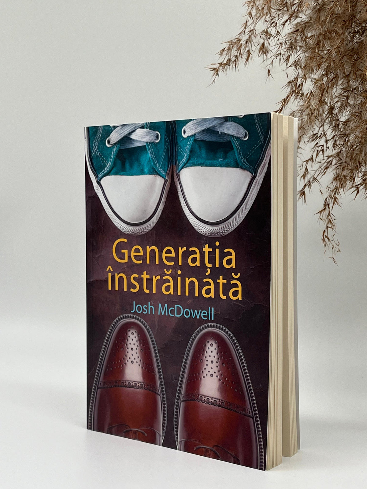 Generația înstrăinată - 
Josh McDowell