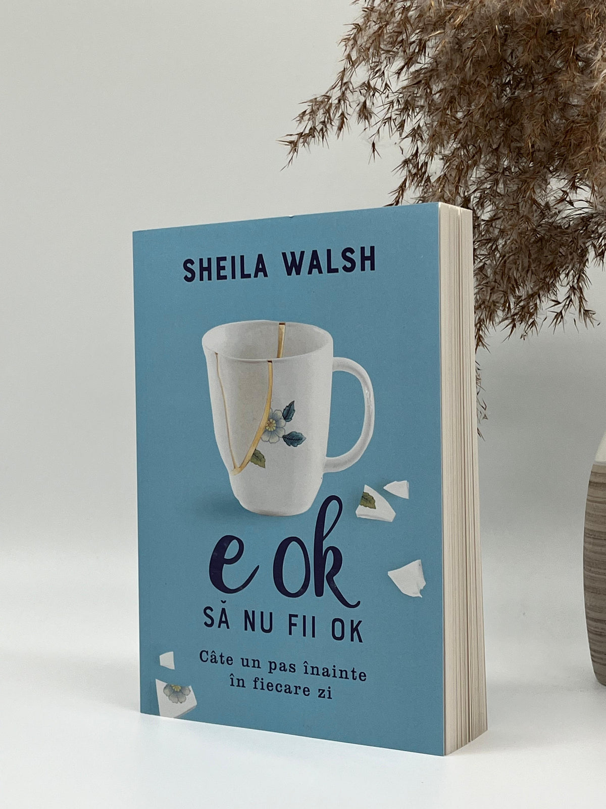 E OK să nu fii OK. Câte un pas înainte în fiecare zi
- Sheila Walsh