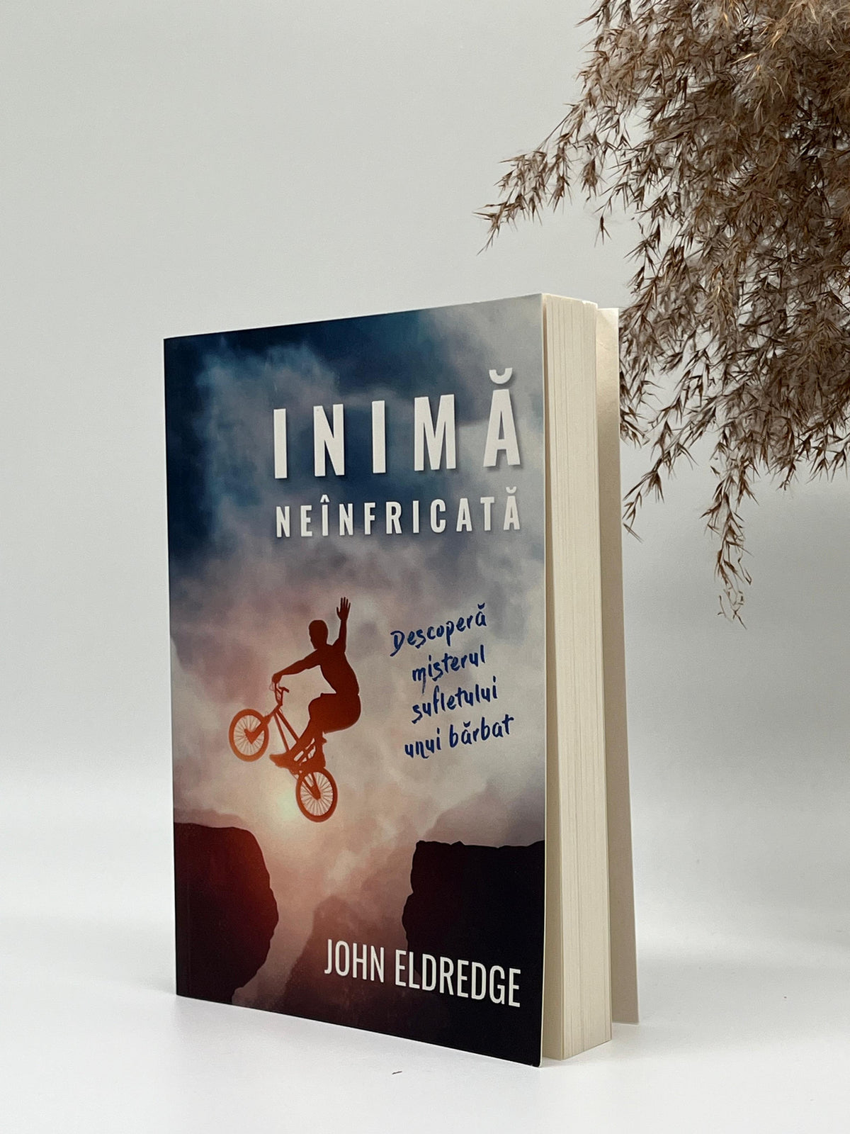Inimă neînfricată. Descoperă misterul sufletului unui bărbat 
John Eldredge