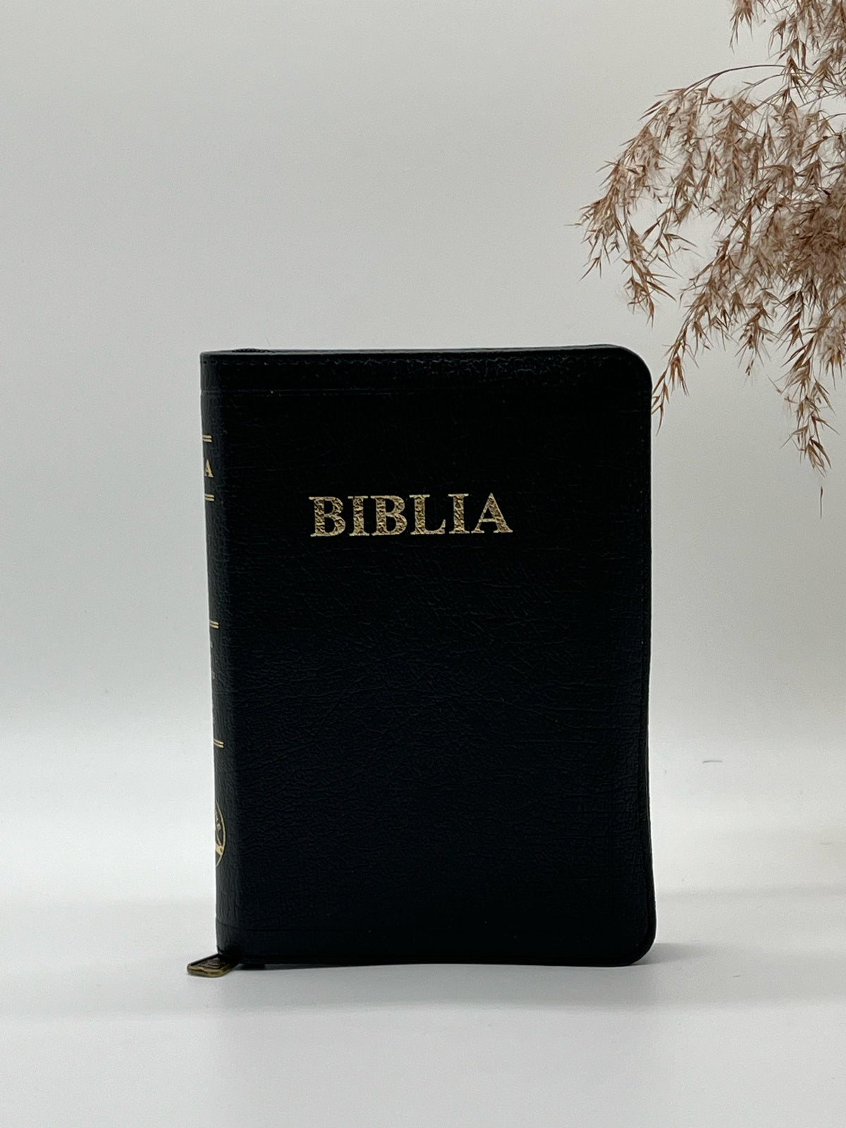 Biblia SBR 047 ZTI diverse culori