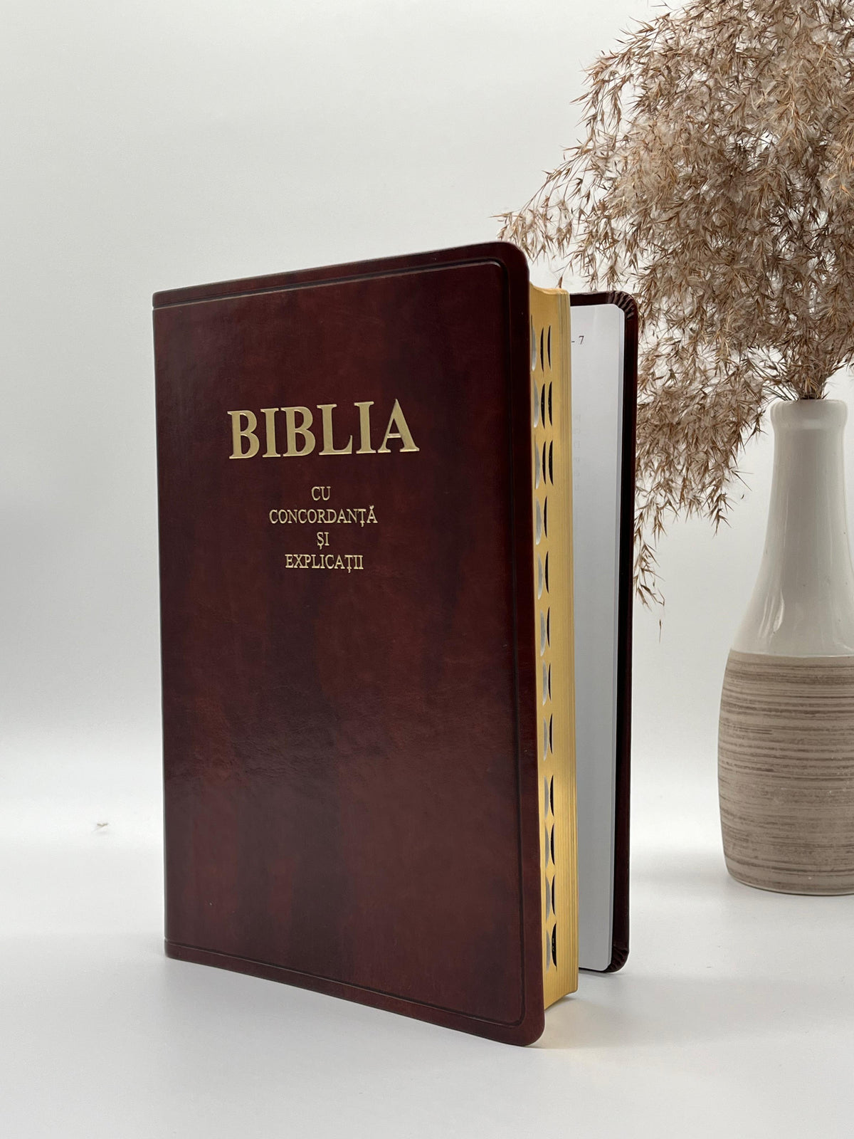Biblia cu concordanță și explicații