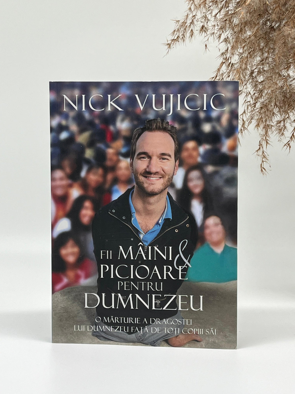 Fii mâini și picioare pentru Dumnezeu - 
Nick Vujicic