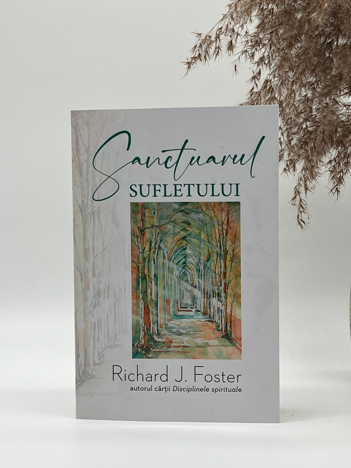 Sanctuarul sufletului - 
Richard Foster