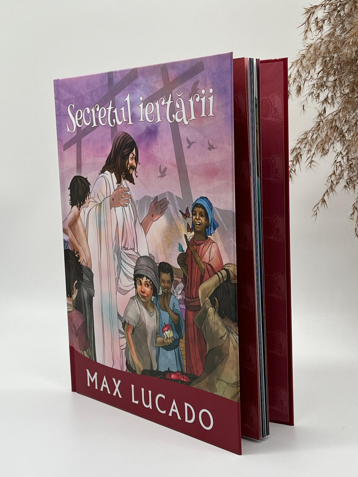 Secretul iertării (Seria Promisiuni împlinite) - 
Max Lucado