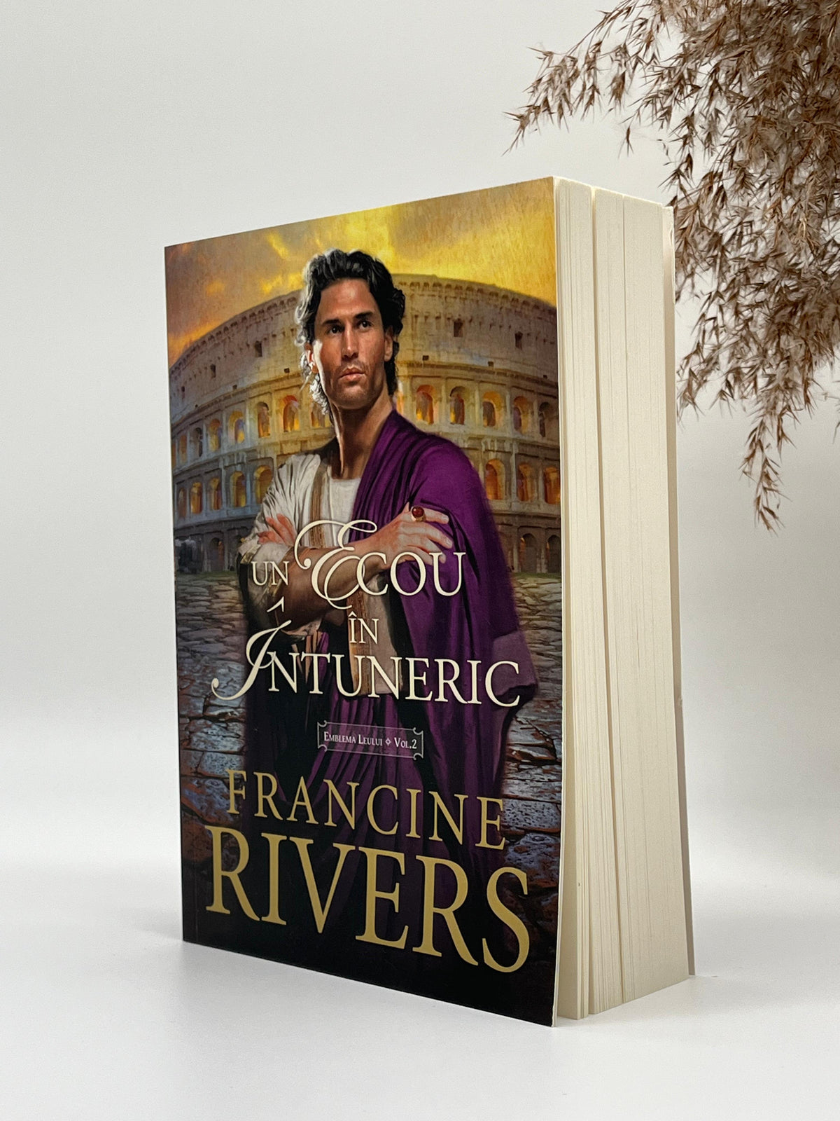 Un ecou în întuneric - Trilogia Emblema leului Vol 2 - 
Francine Rivers