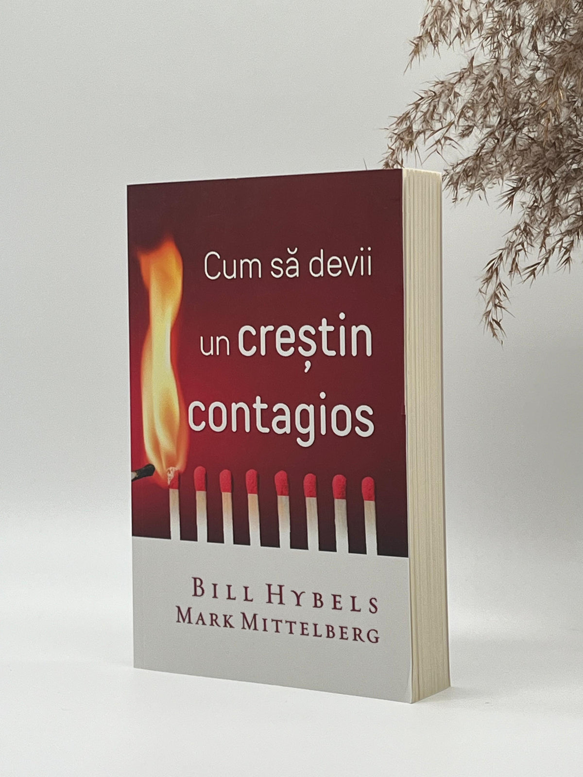 Cum să devii un creștin contagios - 
Bill Hybels