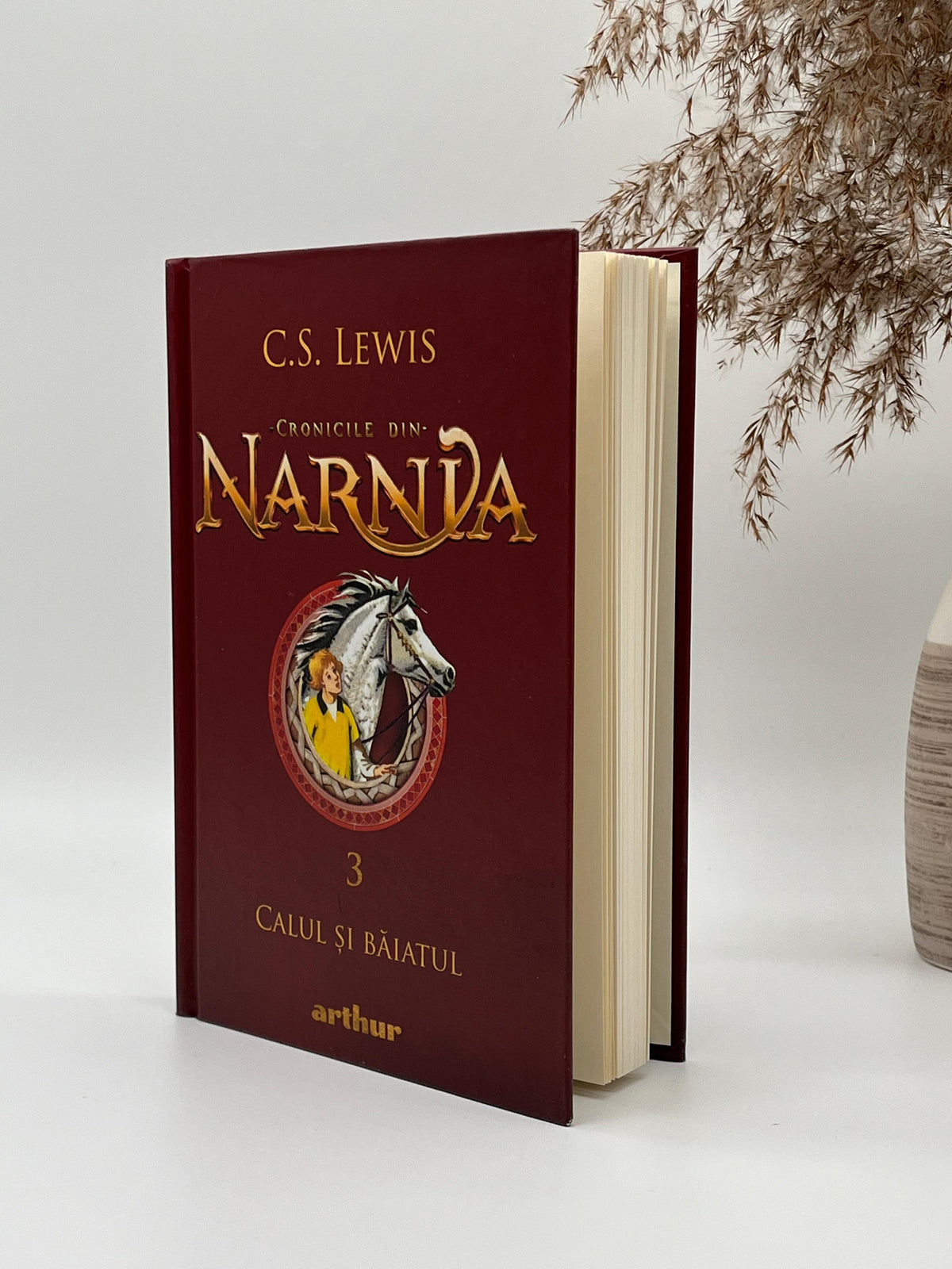 Calul si băiatul [ Cronicile din Narnia - Vol 3]
C. S. Lewis