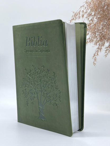 Biblia Speranță în suferință - Verde