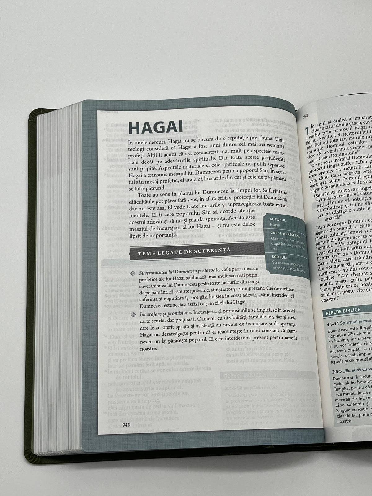 Biblia Speranță în suferință - Verde