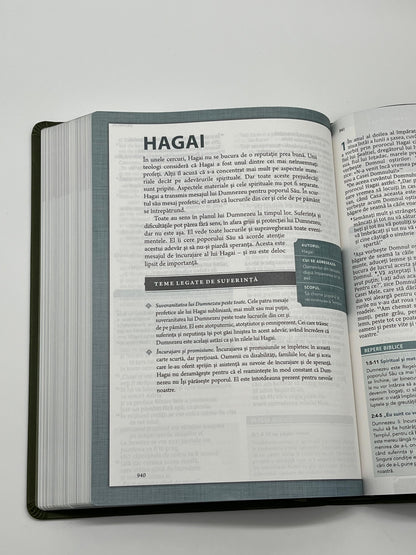 Biblia Speranță în suferință - Verde