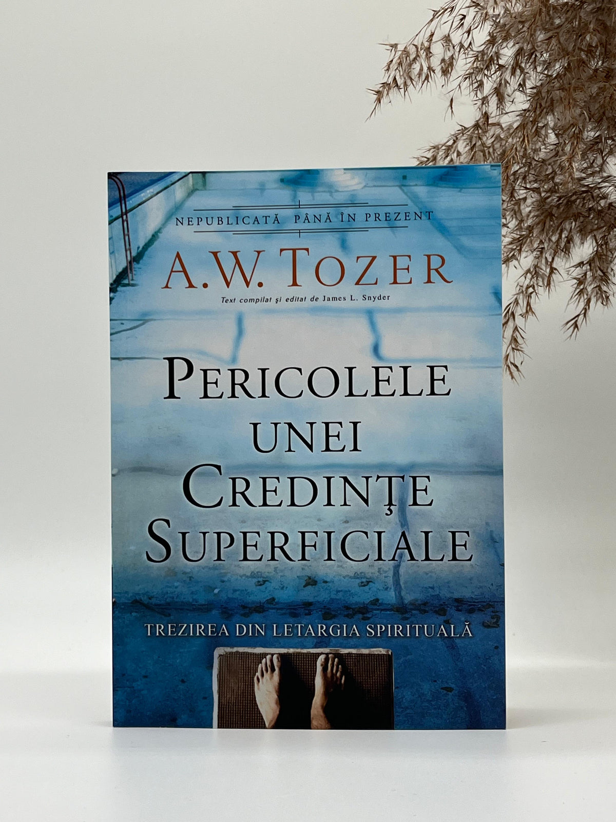 Pericolele unei credințe superficiale - 
A.W. Tozer