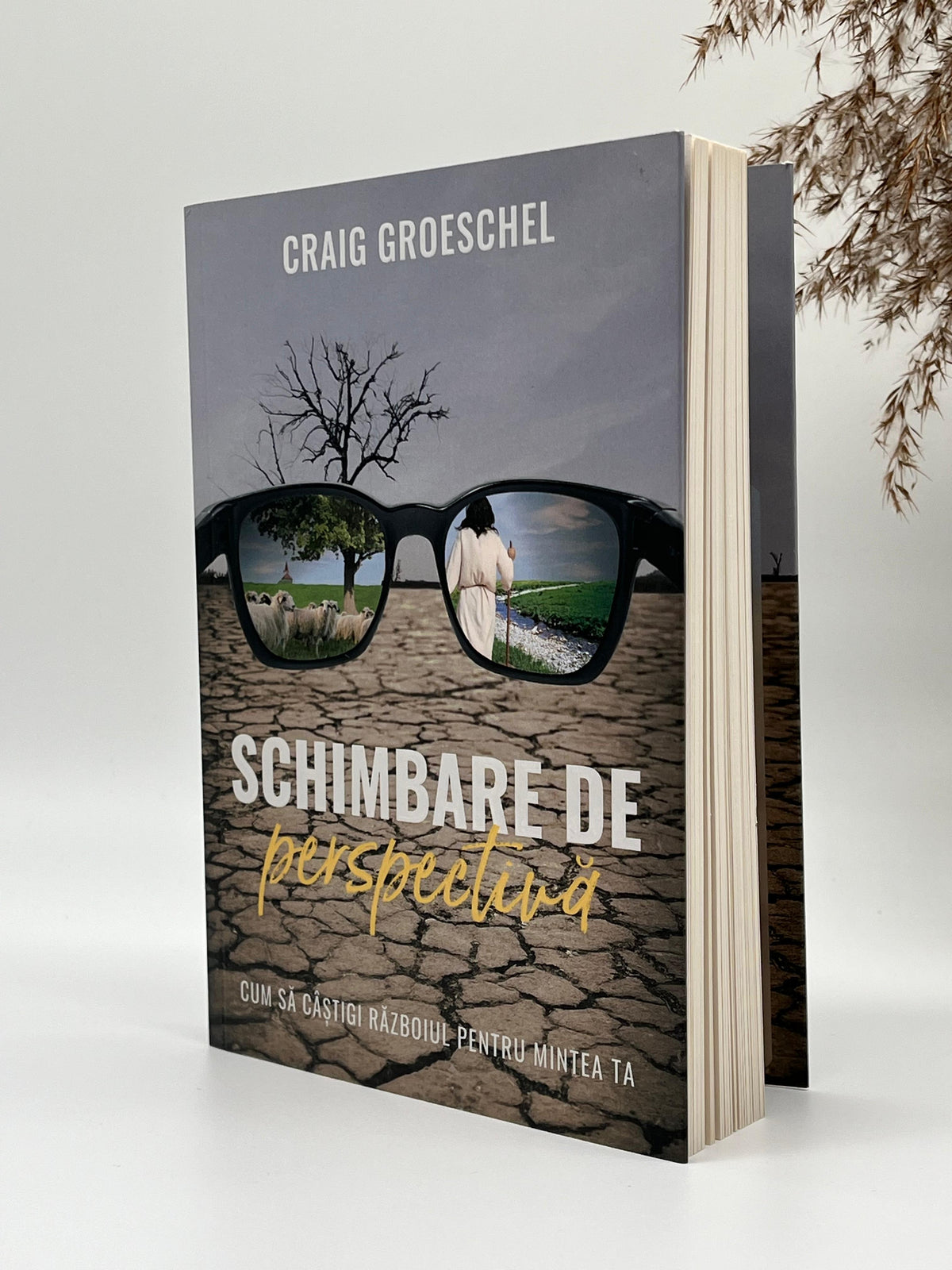 Schimbare de perspectivă - 
Craig Groeschel