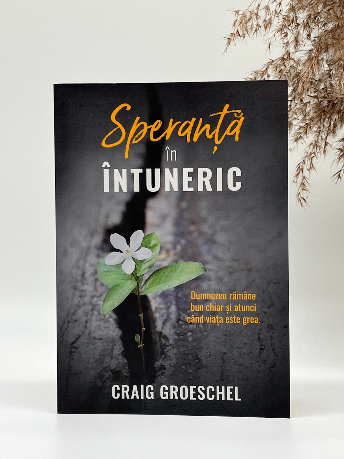 Speranța în întuneric  - 
Craig Groeschel