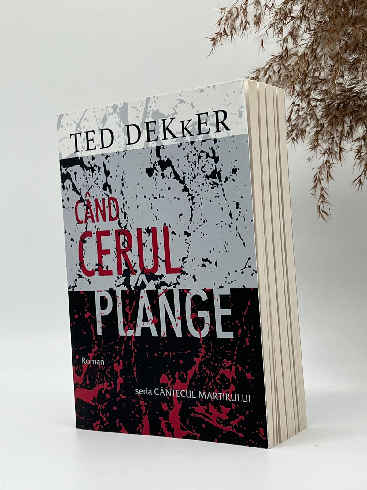 Când cerul plânge  - 
Ted Dekker