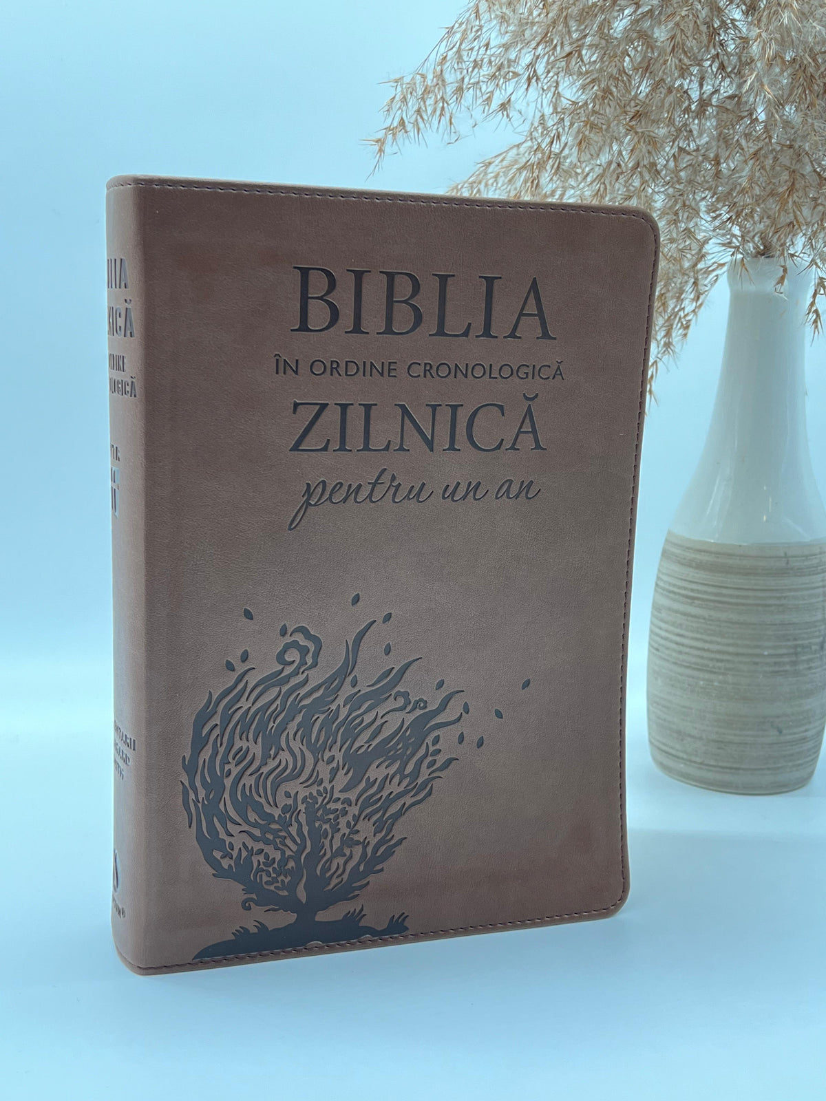 Biblia zilnică în ordine cronologică