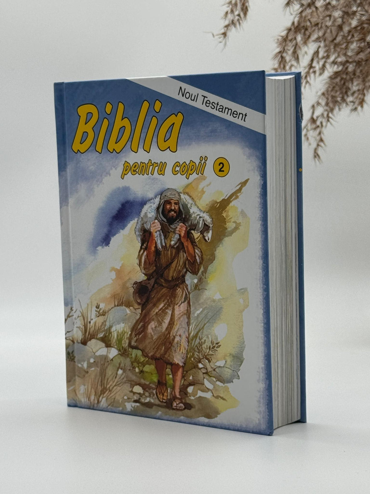 Biblia pentru copii - Noul Testament
Penny Frank