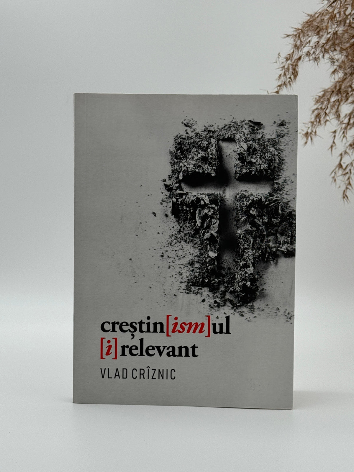 Creștin[ism]ul [i]relevant - Vlad Crîznic