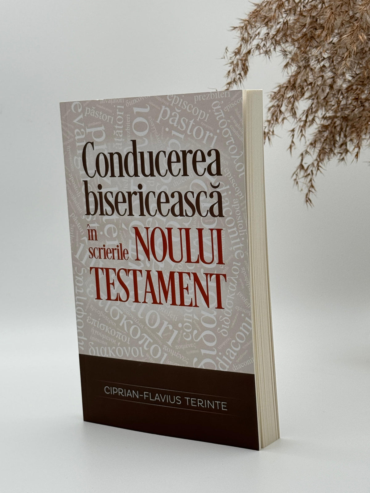 Conducerea bisericească în scrierile Noului Testament - 
Ciprian-Flavius Terinte