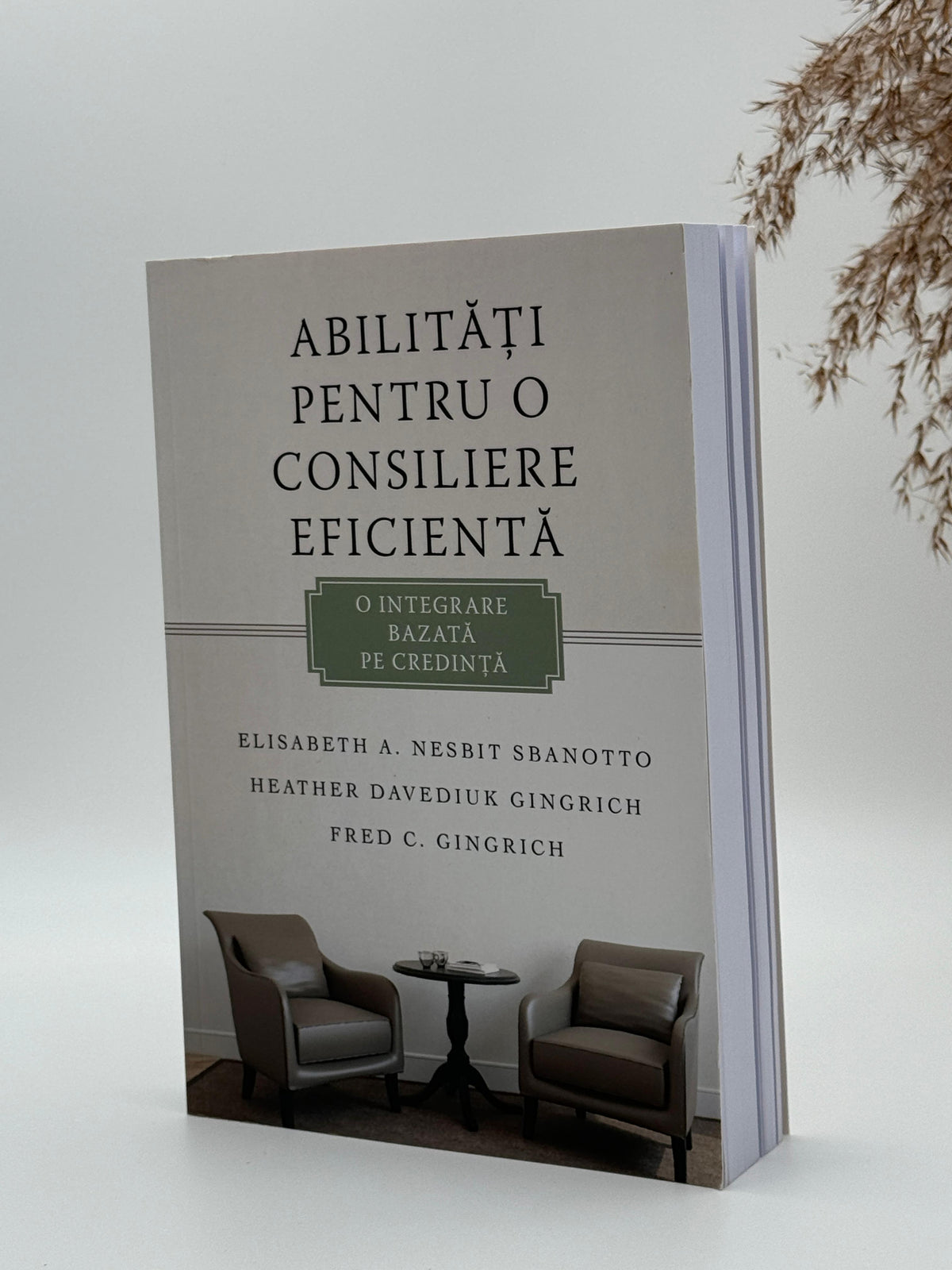 Abilități pentru o consiliere eficientă - 
Elisabeth A. Nesbit Sbanotto, Heather Davediuk Gingrich, Fred Gingrich