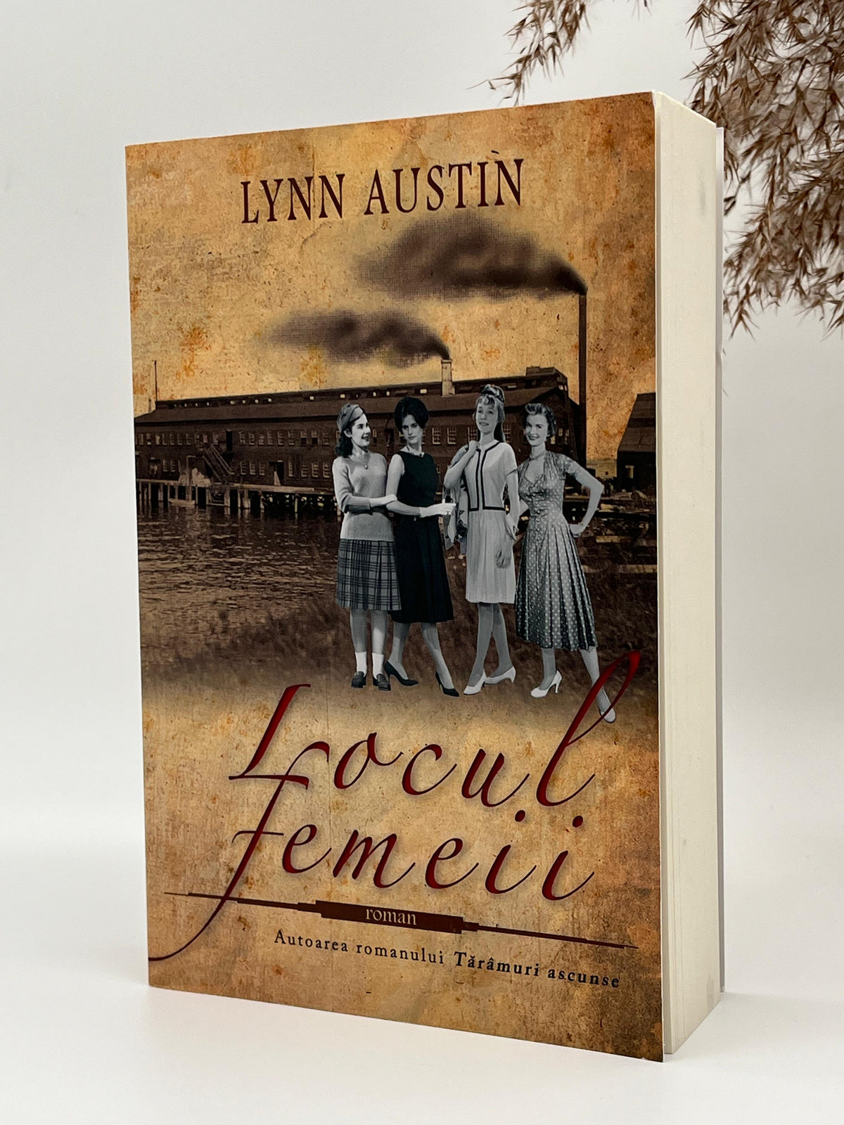 Locul femeii - 
Lynn Austin