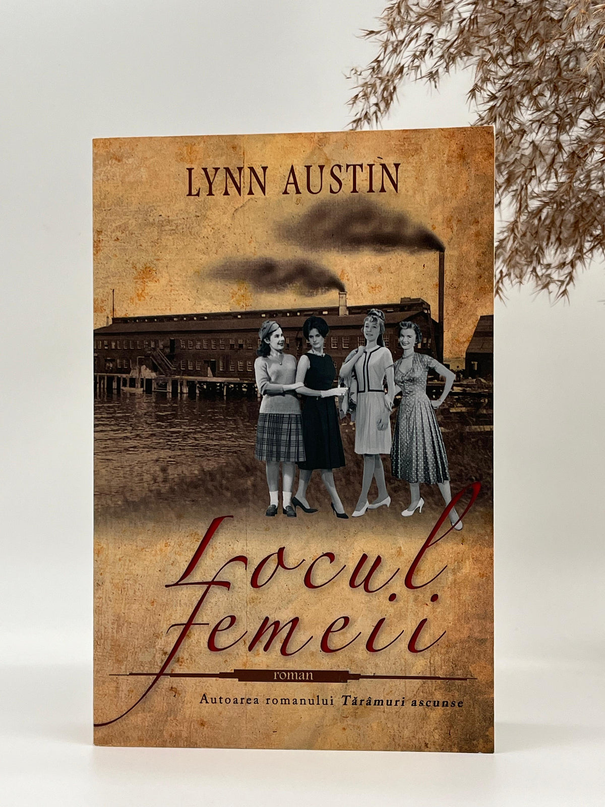 Locul femeii - 
Lynn Austin