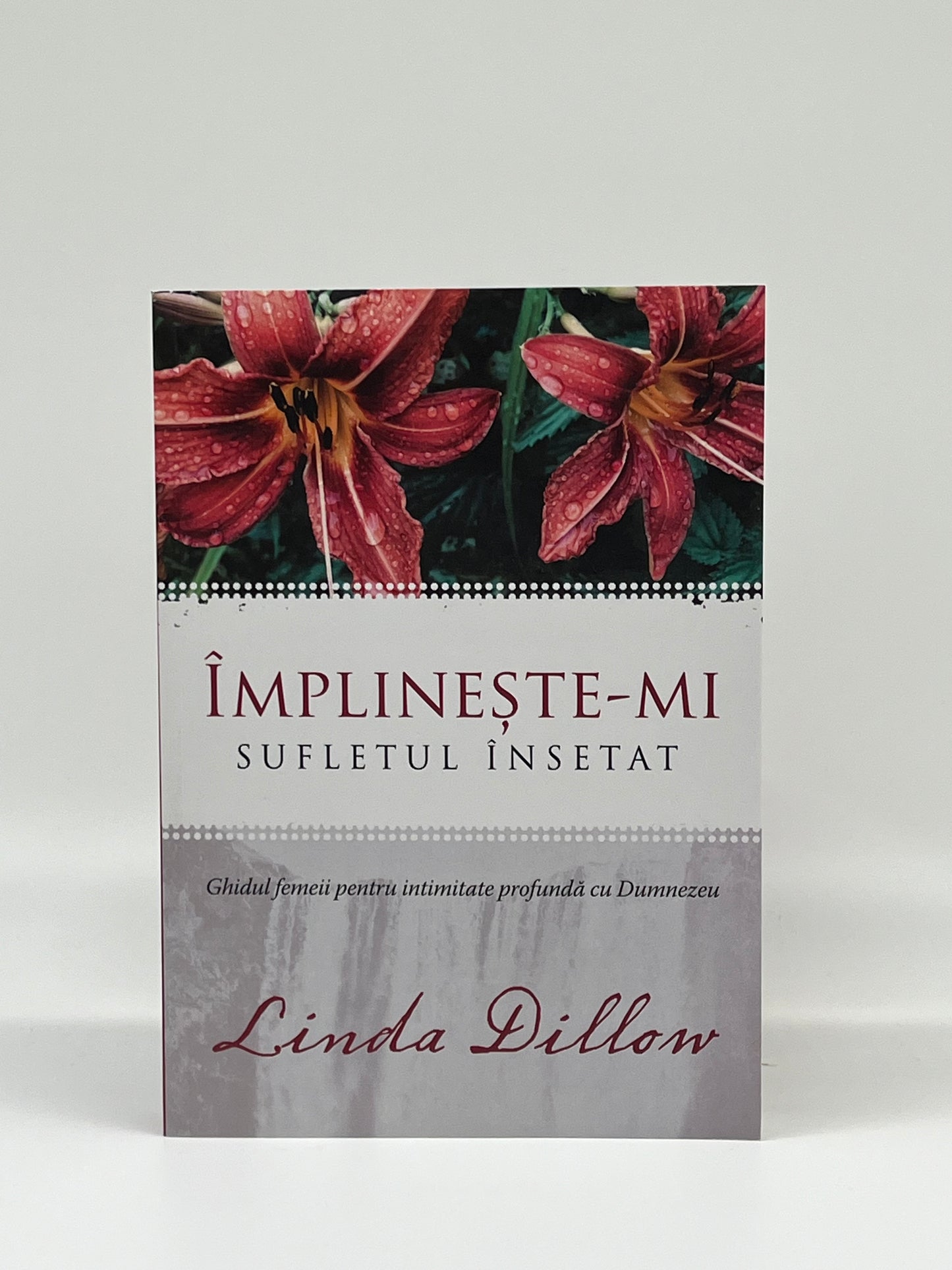 Împlinește-mi sufletul însetat
- Linda Dillow