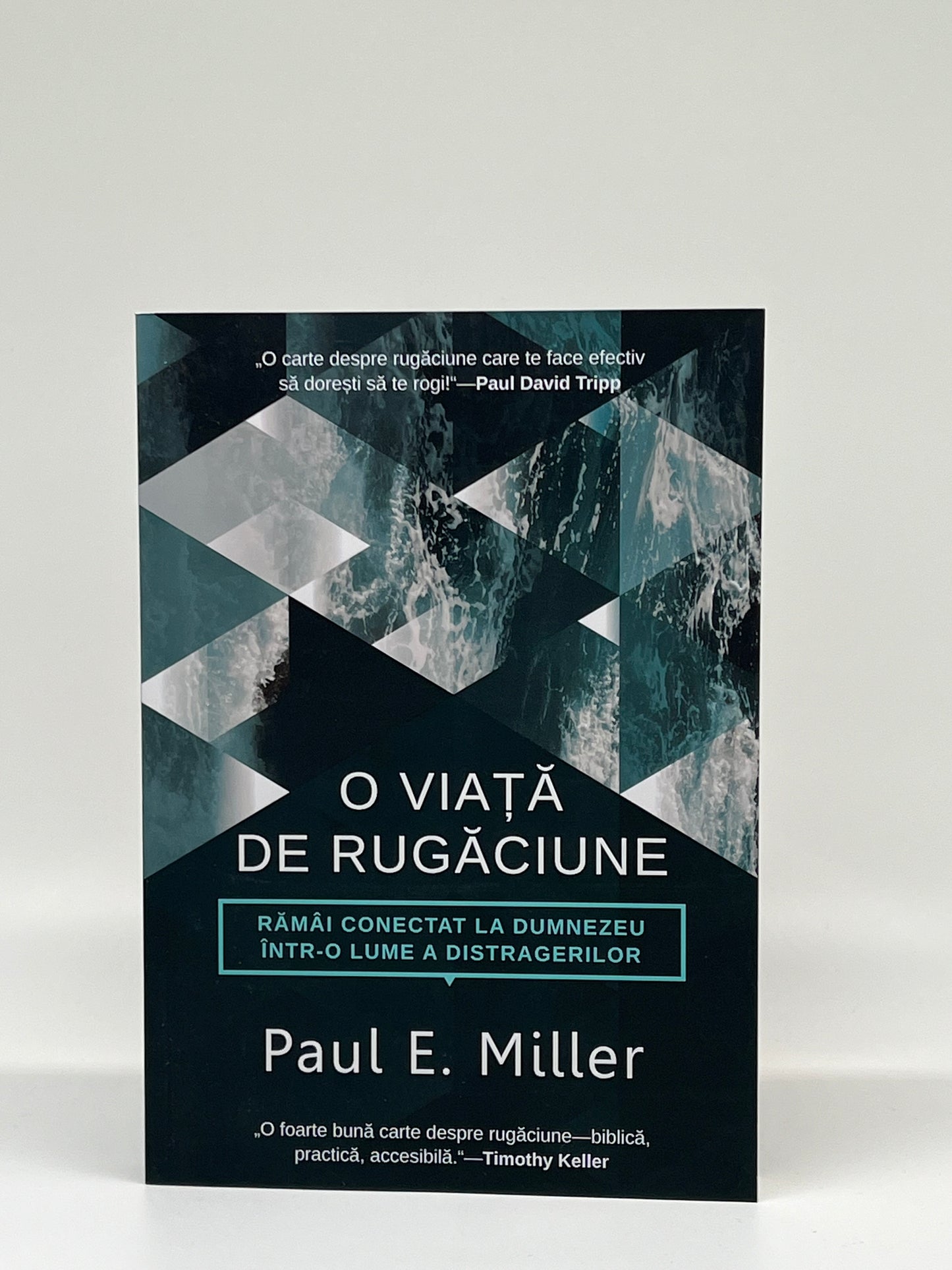 O viață de rugăciune. Rămâi conectat la Dumnezeu într-o lume a distragerilor - Paul E. Miller