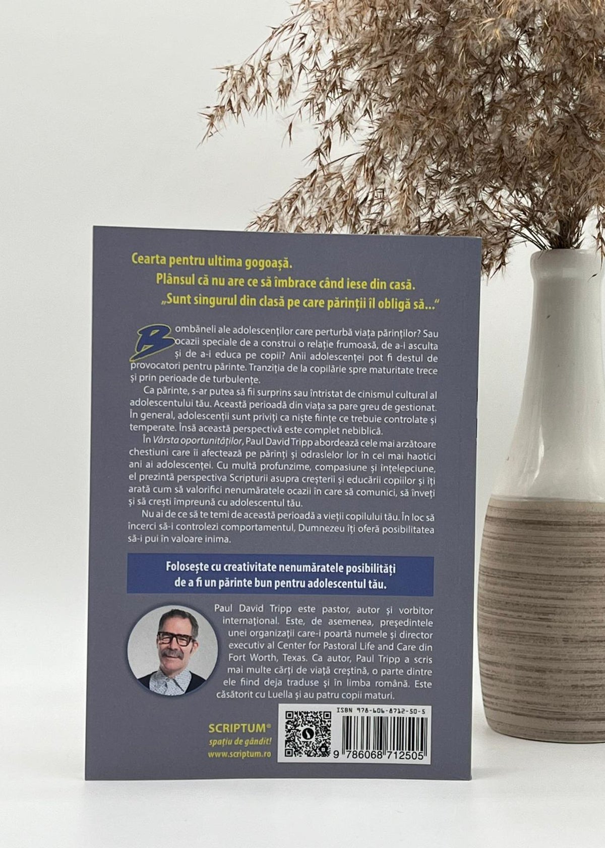 Vârsta oportunităților - Paul David Tripp