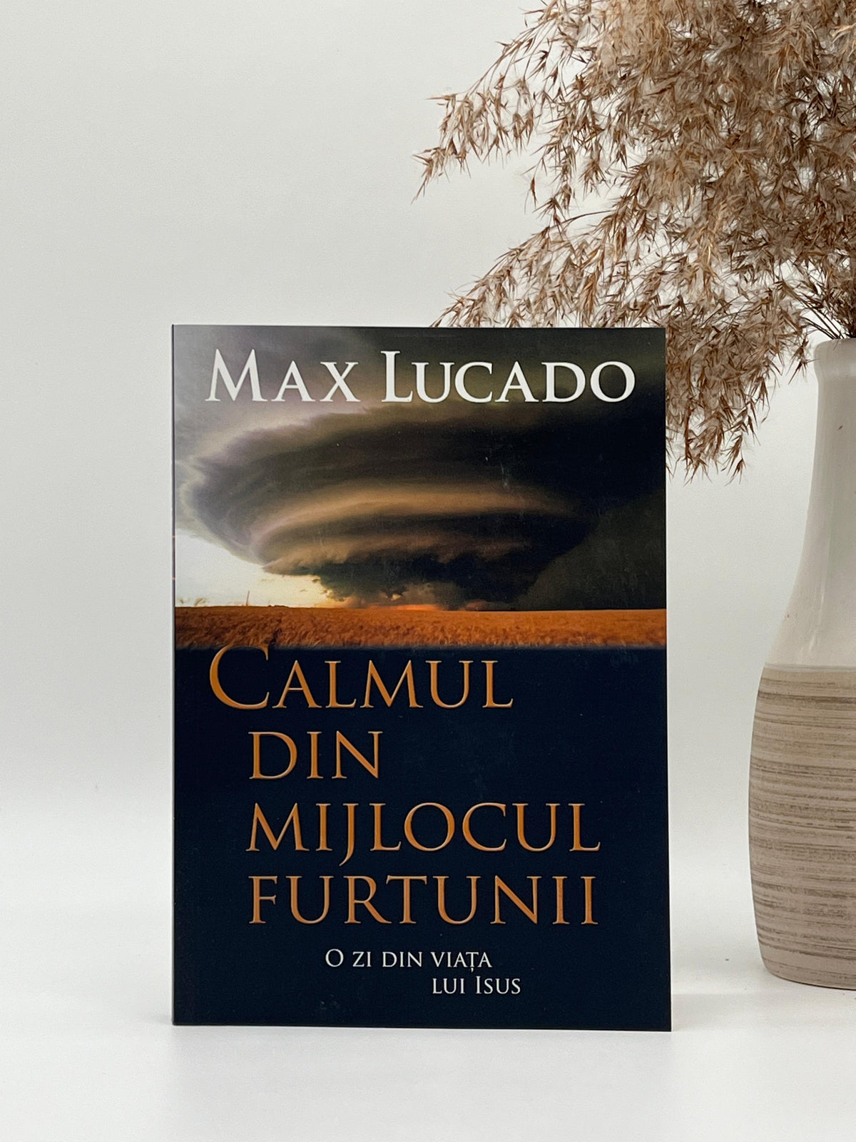 Calmul din mijlocul furtunii - Max Lucado