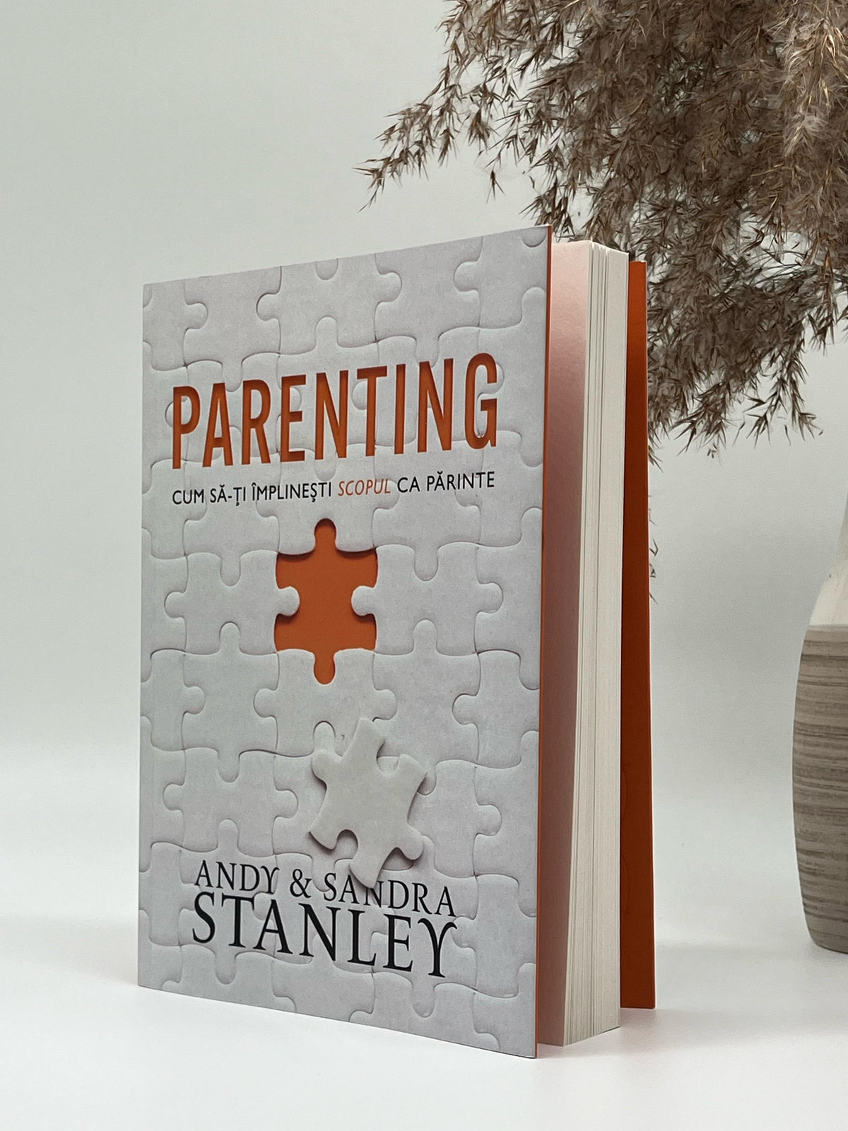 Parenting - Andy Stanley