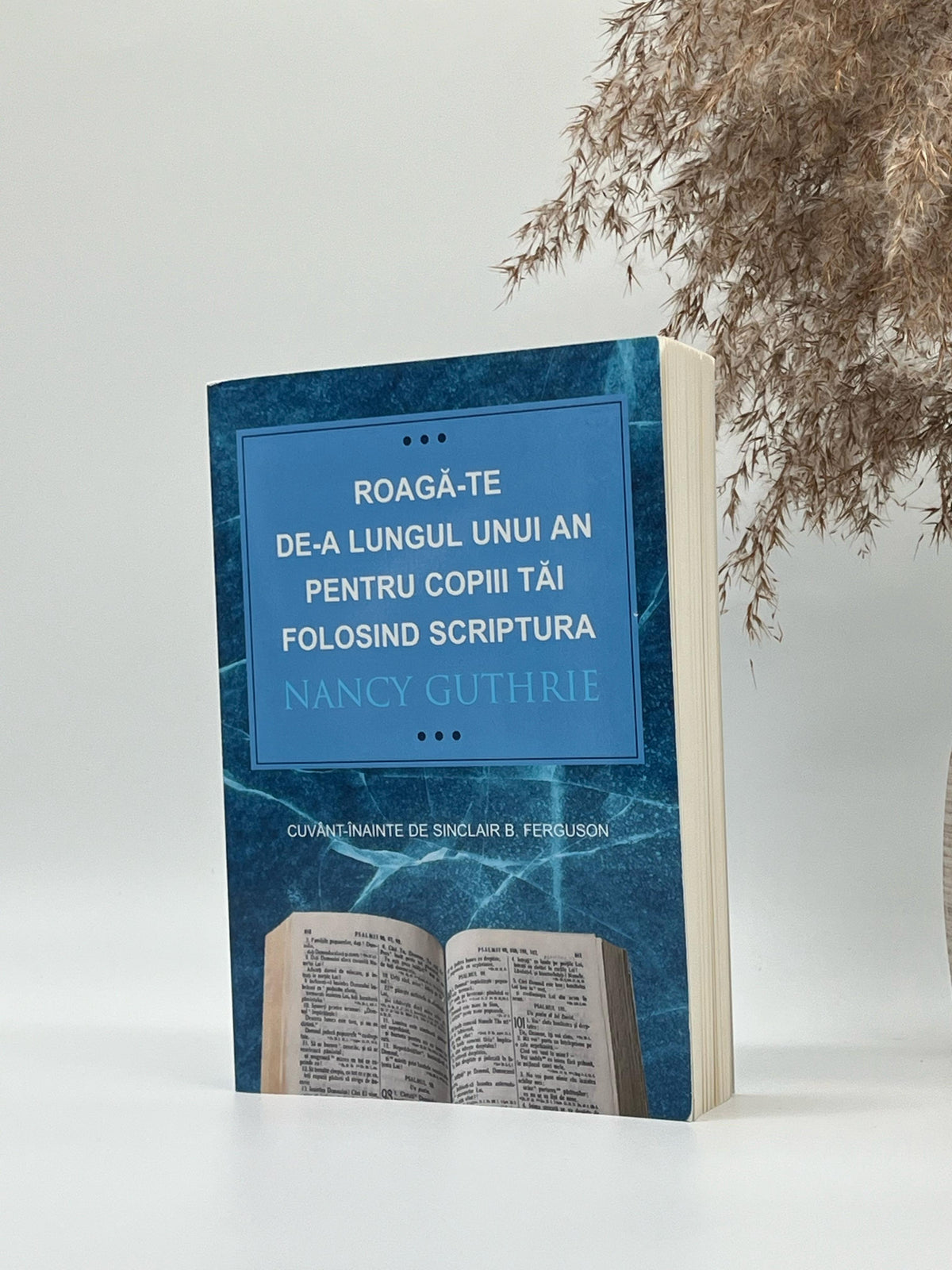 Roagă-te de-a lungul unui an pentru copiii tăi folosind Scriptura - Nancy Guthrie